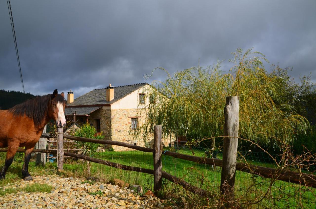 Apartamentos Rurales Tia Vicenta Santa Eulalia de Oscos Zewnętrze zdjęcie