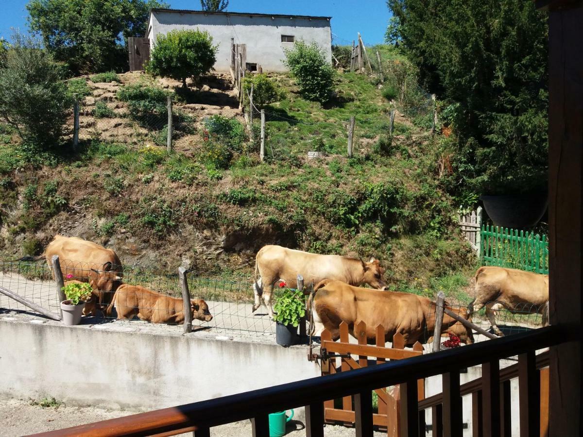 Apartamentos Rurales Tia Vicenta Santa Eulalia de Oscos Zewnętrze zdjęcie