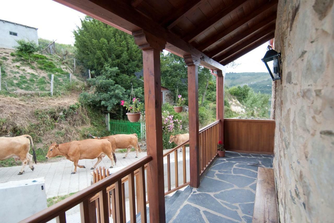 Apartamentos Rurales Tia Vicenta Santa Eulalia de Oscos Zewnętrze zdjęcie