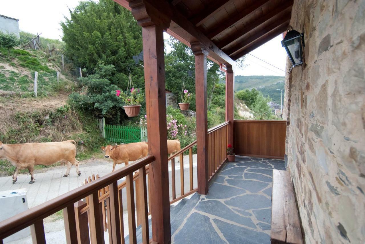 Apartamentos Rurales Tia Vicenta Santa Eulalia de Oscos Zewnętrze zdjęcie